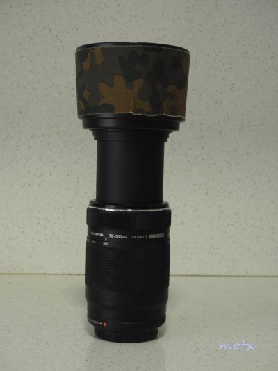 C 75-300.jpg