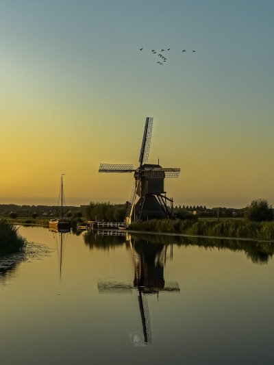P8176012-Editar.jpg