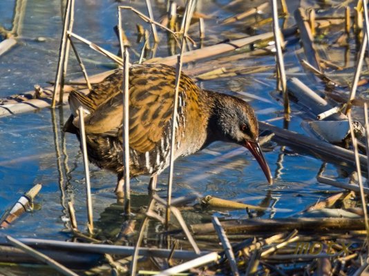 55108540909_5caa95aa37_o.jpg 55108540909_5caa95aa37_o.jpg