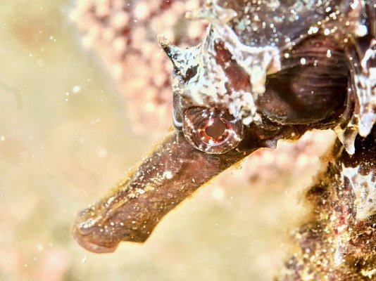 IMG_2271.jpeg IMG_2271.jpeg