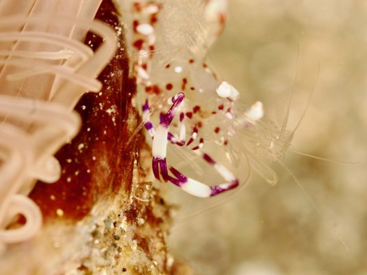 IMG_1613.jpeg IMG_1613.jpeg