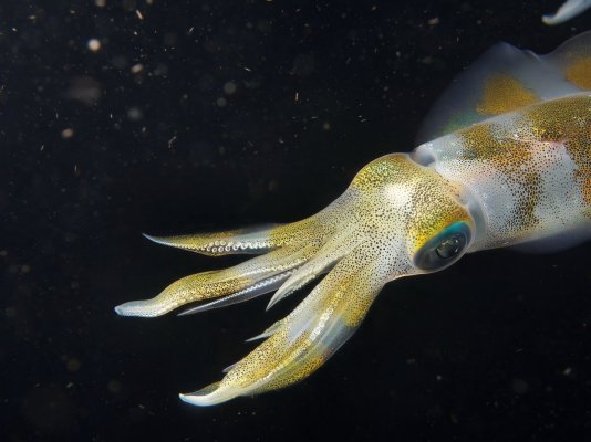 IMG_2319.jpeg IMG_2319.jpeg