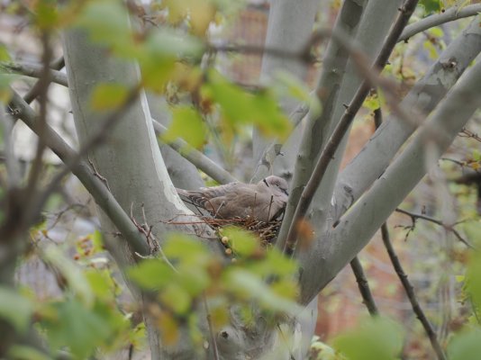 1000093519.jpg 1000093519.jpg