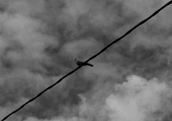 P1010056.jpg P1010056.jpg