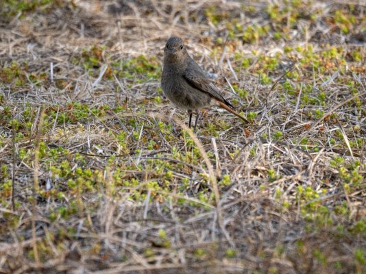 _4181965.jpg