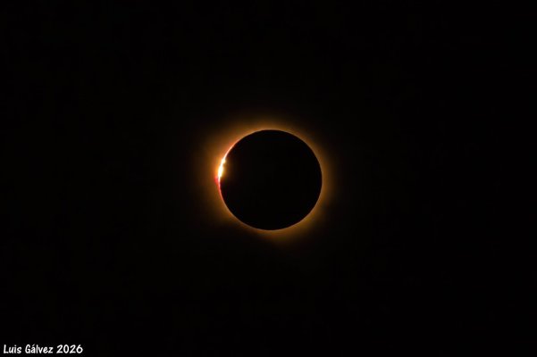 P7120178-2ma.jpg